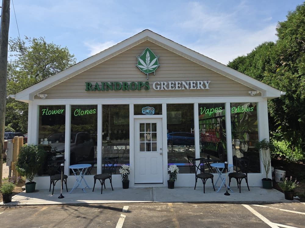 Raindrops Greenery NYC dispensary