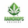 Raindrops Greenery