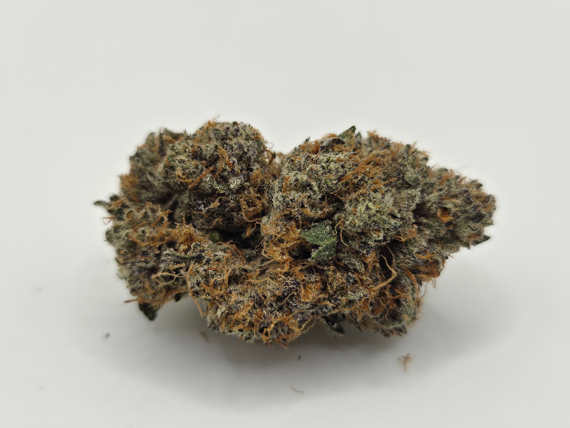 Frosted Flakes