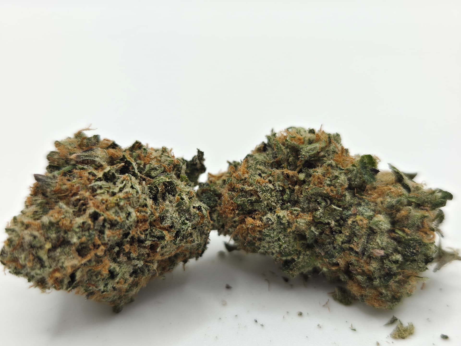 Sour Diesel X OG Kush