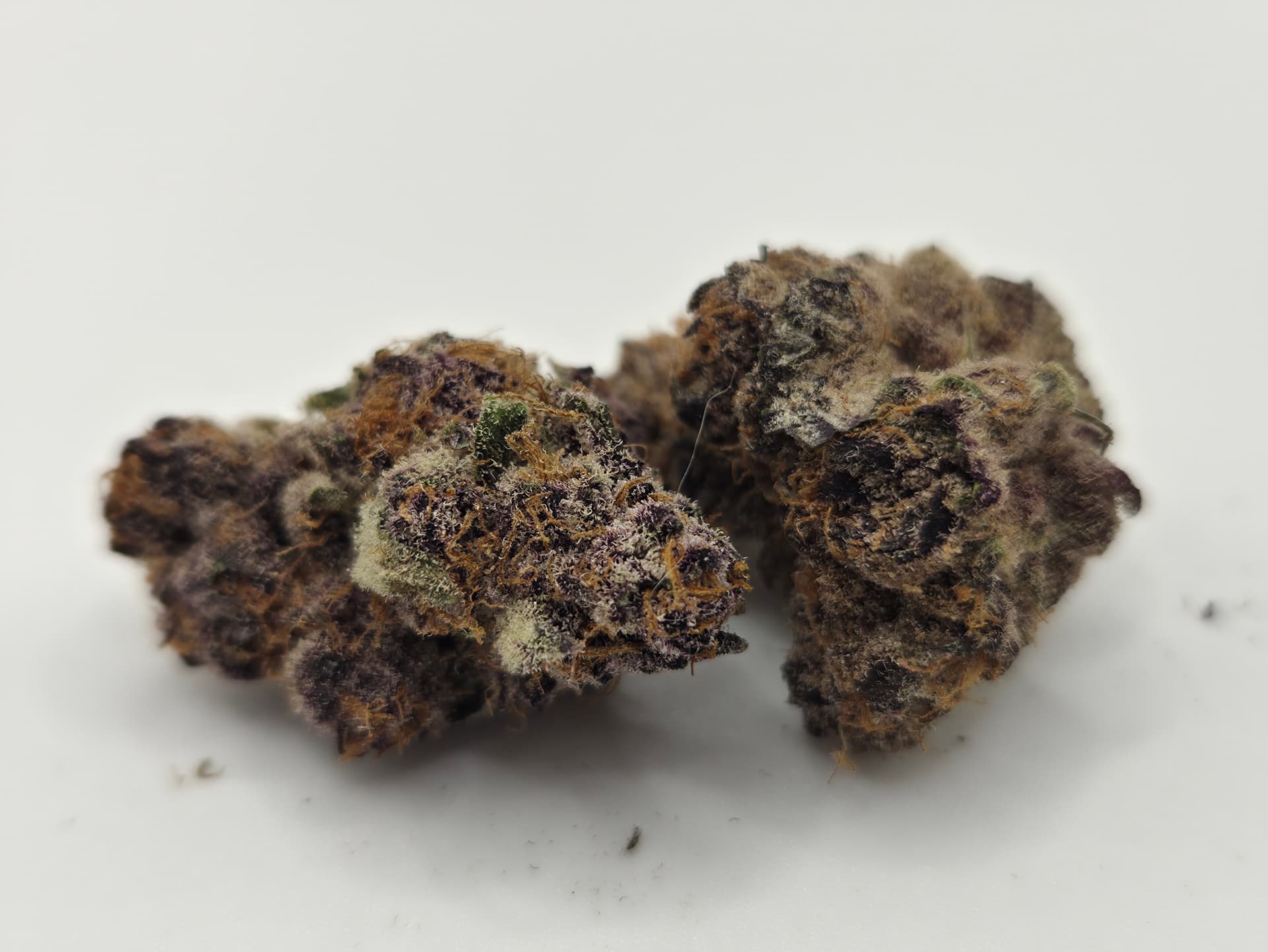 Blackberry